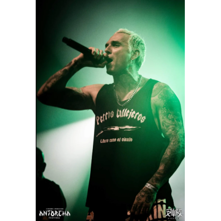 Camiseta tirantes Perros Callejeros