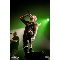 Camiseta tirantes Perros Callejeros