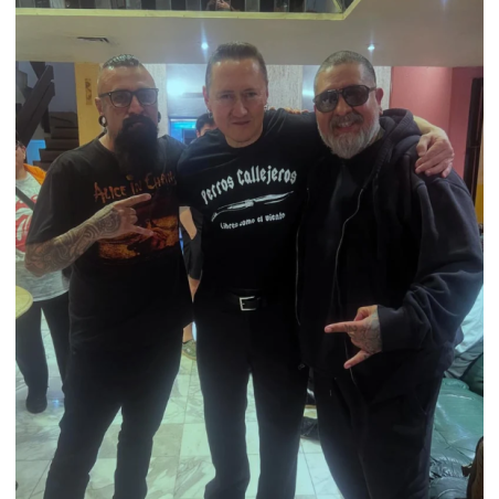 Camiseta perros callejeros