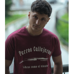 Camiseta Perros Callejeros Granate