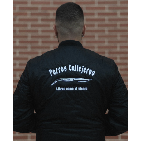 BOMBER NEGRA PERROS CALLEJEROS