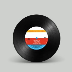 Raggamuffin Again - Old School is Cool - Vinilo