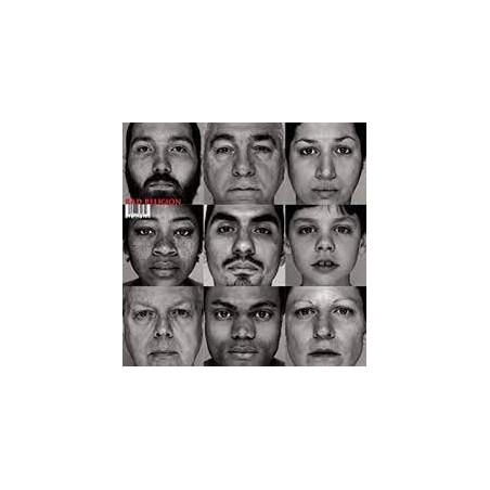 Bad Religion - The Gray Race - Vinilo